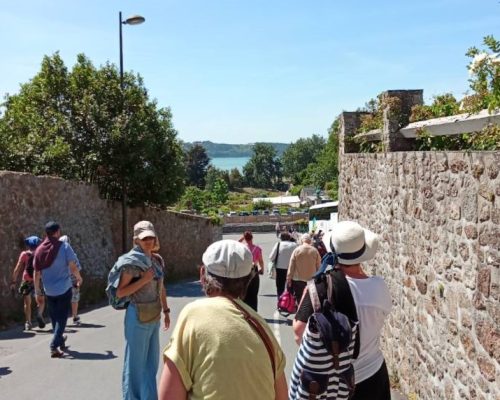 IMG_20250708_095348 (2)